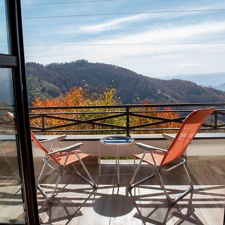 Apartman Andjela Kopaonik Exterior foto