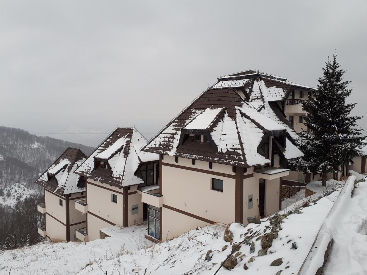 Apartman Andjela Kopaonik Exterior foto