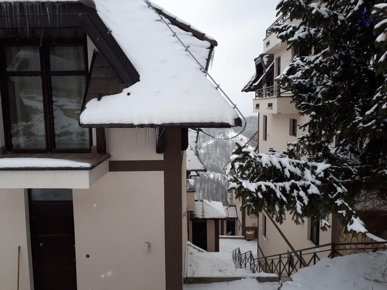 Apartman Andjela Kopaonik Exterior foto