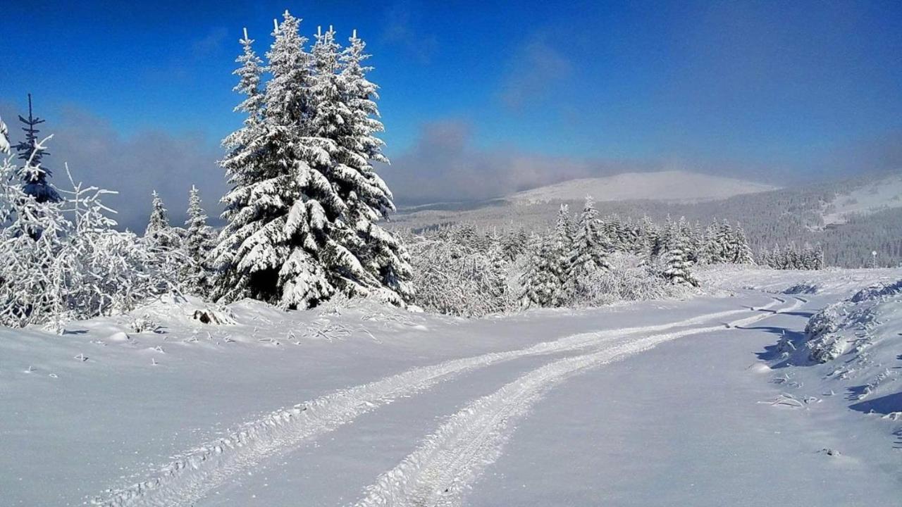 Apartman Andjela Kopaonik Exterior foto